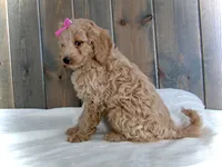 processed/001d64a9-2bec-4d57-a342-bde9cde89e8a/listing/57cab68c-94fe-4491-ba60-2db3fe3eb284/468829b4-ba8d-4af5-bef3-92ae3762b656