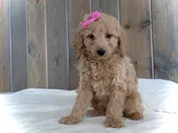 processed/001d64a9-2bec-4d57-a342-bde9cde89e8a/listing/57cab68c-94fe-4491-ba60-2db3fe3eb284/6f8dc009-d1df-42b0-96ce-6ec4648ec864