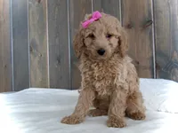 processed/001d64a9-2bec-4d57-a342-bde9cde89e8a/listing/57cab68c-94fe-4491-ba60-2db3fe3eb284/bc299c9a-bda6-4074-9cd3-a1ca49b6383d