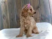 processed/001d64a9-2bec-4d57-a342-bde9cde89e8a/listing/57cab68c-94fe-4491-ba60-2db3fe3eb284/e6d7eb07-eafb-42ee-9d2e-ac24594f028c