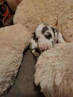 processed/002b8da0-b093-49d3-853d-05c6763f8931/facility/2f7d2a66-dfa4-475d-89dd-40bf02600d32