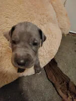 processed/002b8da0-b093-49d3-853d-05c6763f8931/facility/83b926dd-ed70-40bd-805b-5e688ef10487