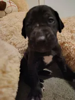 processed/002b8da0-b093-49d3-853d-05c6763f8931/facility/8a54a542-9667-482d-84f5-89acc35641ac