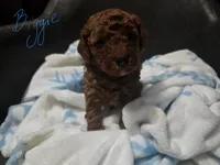 processed/002c6a29-661c-4bac-b689-106777fb2b65/listing/142adf97-df0e-4c47-810f-535d5e990d69/791cce9e-2b9b-4fd4-99b7-b6a28e5aa37b