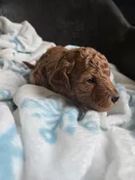 processed/002c6a29-661c-4bac-b689-106777fb2b65/listing/142adf97-df0e-4c47-810f-535d5e990d69/eff49dab-83c9-4f13-853d-faceced38798