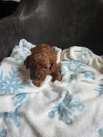 processed/002c6a29-661c-4bac-b689-106777fb2b65/listing/142adf97-df0e-4c47-810f-535d5e990d69/f3546091-8dc2-440e-ab7a-a6d3869ed204