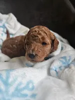 processed/002c6a29-661c-4bac-b689-106777fb2b65/listing/2b939927-429e-4931-a716-ff2f8bb7f55d/59997cda-e09e-4c12-8ff9-d25edd09c2e5