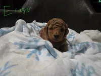 processed/002c6a29-661c-4bac-b689-106777fb2b65/listing/2b939927-429e-4931-a716-ff2f8bb7f55d/70ee97cb-44cd-48ba-b9b6-13c28e422f98