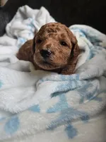 processed/002c6a29-661c-4bac-b689-106777fb2b65/listing/2b939927-429e-4931-a716-ff2f8bb7f55d/c627d569-858a-47f9-9c46-fa9ec14c1ff4