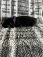 Ms Purp, a female German Shepherd Dog for sale in Berkeley, IL – Photo 3 of 5