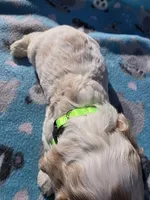 processed/003a4d46-86eb-4231-8a04-f6db971fb168/listing/d4d2f020-ad46-4764-a93a-209327820d8d/3cfa377c-226c-4840-b313-7c1959a7f15f