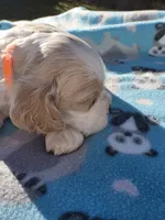 processed/003a4d46-86eb-4231-8a04-f6db971fb168/listing/d4d2f020-ad46-4764-a93a-209327820d8d/44e8c436-56f4-44a7-abc0-511d1e8964e0