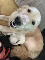 processed/006e53b7-20a9-4dfc-b388-9e9066a3a3f9/listing/035572a9-1f00-488f-8f85-a8b947ba1a71/7b6c8d07-7bb5-4a56-bb6b-fb18bb31fc41