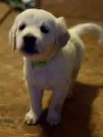 processed/006e53b7-20a9-4dfc-b388-9e9066a3a3f9/listing/9e350e8f-b3f6-499b-a799-08b60d1c093f/532eb3ab-6f7b-4618-b26f-ed7fb3bd5637