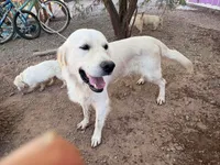 processed/006e53b7-20a9-4dfc-b388-9e9066a3a3f9/listing/d1c3fa72-1d21-401e-8d99-e4a9113c30b5/89797e69-5e55-48df-a60c-c7b5469e9b57