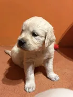 processed/006e53b7-20a9-4dfc-b388-9e9066a3a3f9/listing/e421933b-a6b9-4eac-9bec-0d6dfa2e93be/92930636-3714-4e3f-98bc-5b96fe82d035