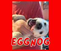 processed/006e53b7-20a9-4dfc-b388-9e9066a3a3f9/listing/e421933b-a6b9-4eac-9bec-0d6dfa2e93be/c2b3f862-2a65-4ffe-9aae-93da6450cd94