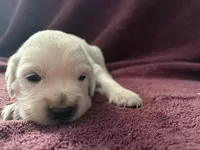 processed/006e53b7-20a9-4dfc-b388-9e9066a3a3f9/listing/e421933b-a6b9-4eac-9bec-0d6dfa2e93be/f3c1ba87-309f-407b-8a00-51802abc2aa0