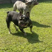 processed/007c18ce-c1eb-40ee-b776-5da4958e01b2/facility/1fd55257-d2cf-4d46-abe2-30f8e8042923