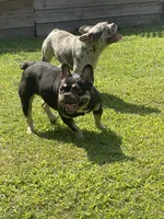 processed/007c18ce-c1eb-40ee-b776-5da4958e01b2/facility/1fd55257-d2cf-4d46-abe2-30f8e8042923