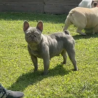 processed/007c18ce-c1eb-40ee-b776-5da4958e01b2/facility/848ca628-7890-44fb-be2c-344a28588d0f