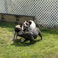 processed/007c18ce-c1eb-40ee-b776-5da4958e01b2/facility/a8512994-40ed-4d13-b99f-1f3005de469c