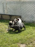 processed/007c18ce-c1eb-40ee-b776-5da4958e01b2/facility/a8512994-40ed-4d13-b99f-1f3005de469c