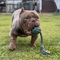 processed/007c18ce-c1eb-40ee-b776-5da4958e01b2/facility/a92144fc-0408-4e47-85c5-f48b125651ba