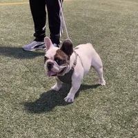 processed/007c18ce-c1eb-40ee-b776-5da4958e01b2/facility/c357dd57-e653-4d2f-b93f-31f706ab2664