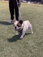 processed/007c18ce-c1eb-40ee-b776-5da4958e01b2/facility/c357dd57-e653-4d2f-b93f-31f706ab2664