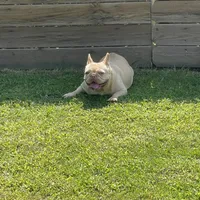 processed/007c18ce-c1eb-40ee-b776-5da4958e01b2/facility/c7a7300e-799a-4a75-b4fc-761ab17c1014