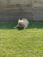 processed/007c18ce-c1eb-40ee-b776-5da4958e01b2/facility/c7a7300e-799a-4a75-b4fc-761ab17c1014