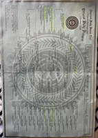 Dallas, a female American Bully for sale in Plainfield, NJ – Photo 2 of 6