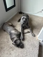 processed/00832e1f-04f7-4497-be22-d30dfc3ae141/facility/61090b5e-d4f7-4073-8061-e7302ffd040e