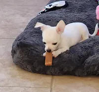 processed/0092051e-239f-4c7d-8504-5822e02458d8/listing/c11bb513-51c6-4ddb-b415-07763a8eea70/15f8da98-8f51-4033-9b84-9344bcc85562