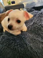 processed/0092051e-239f-4c7d-8504-5822e02458d8/listing/c11bb513-51c6-4ddb-b415-07763a8eea70/41ffc244-35ad-44c3-b6f6-0cb2e7bcafef