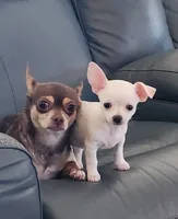 processed/0092051e-239f-4c7d-8504-5822e02458d8/listing/c11bb513-51c6-4ddb-b415-07763a8eea70/d13ca1a1-48b9-4fe1-8e7f-1c910f6251bb