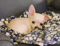 processed/0092051e-239f-4c7d-8504-5822e02458d8/listing/c11bb513-51c6-4ddb-b415-07763a8eea70/f9738579-aea1-4133-9ecc-01c750b29180