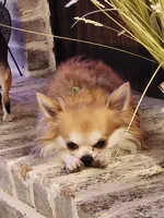 processed/0092051e-239f-4c7d-8504-5822e02458d8/listing/c11bb513-51c6-4ddb-b415-07763a8eea70/fb8010ff-a99d-4a16-81f8-4c6e4226169a