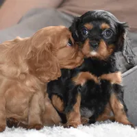 processed/00a6723d-7b29-44a8-9c13-d4fdc32b97cd/facility/36a79f28-fb19-4282-bf02-fda2f78dfbc5