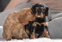 processed/00a6723d-7b29-44a8-9c13-d4fdc32b97cd/facility/36a79f28-fb19-4282-bf02-fda2f78dfbc5