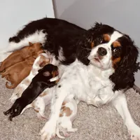 processed/00a6723d-7b29-44a8-9c13-d4fdc32b97cd/facility/4a369515-b4c2-42e1-b58d-c6fce34cafdb