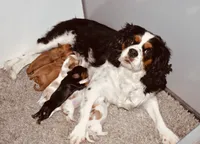 processed/00a6723d-7b29-44a8-9c13-d4fdc32b97cd/facility/4a369515-b4c2-42e1-b58d-c6fce34cafdb