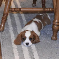 processed/00a6723d-7b29-44a8-9c13-d4fdc32b97cd/facility/513cf4c5-571e-40a2-9d81-e45fef760e3a