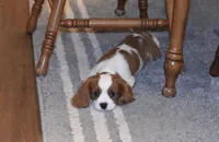 processed/00a6723d-7b29-44a8-9c13-d4fdc32b97cd/facility/513cf4c5-571e-40a2-9d81-e45fef760e3a