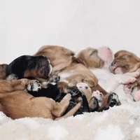 processed/00a6723d-7b29-44a8-9c13-d4fdc32b97cd/facility/77ca9137-151a-4c03-a281-4e5b7fdff1cb