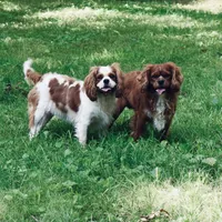 processed/00a6723d-7b29-44a8-9c13-d4fdc32b97cd/facility/7c146ed1-9792-4dcb-a8f1-faec0559d2fa