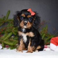 processed/00a6723d-7b29-44a8-9c13-d4fdc32b97cd/facility/8cd3688e-2953-4362-afbe-146856a3069e