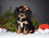 processed/00a6723d-7b29-44a8-9c13-d4fdc32b97cd/facility/8cd3688e-2953-4362-afbe-146856a3069e