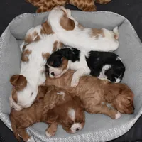 processed/00a6723d-7b29-44a8-9c13-d4fdc32b97cd/facility/983f7782-4d80-4ab2-ab54-1738d9b6a3a7